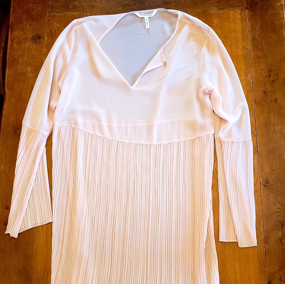 BCBG sheer shift dress with matching slip